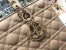 Dior Large Lady Dior Bag In Blush Ultramatte Calfskin