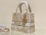 Dior Medium Lady D-Lite Bag In Gold Jardin d'Hiver Embroidery