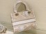 Dior Medium Lady D-Lite Bag In Gold Jardin d'Hiver Embroidery