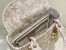 Dior Medium Lady D-Lite Bag In Gold Jardin d'Hiver Embroidery