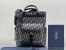 Dior Explorer Tote Bag Beige and Black Dior Oblique Jacquard