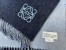 Loewe Double Face Scarf in Navy/Light Blue Wool and Cashmere