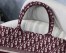 Dior Small Book Tote Bag In Bordeaux Oblique Canvas