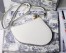 Dior Saddle Trio Pouch With Strap In White Calfskin