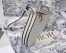 Dior Saddle Trio Pouch With Strap In White Calfskin