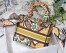 Dior Medium Lady D-Lite Bag In Yellow Multicolor Dior Paisley Embroidery