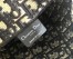 Dior Blue Oblique Diorcamp Messenger Bag