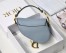 Dior Micro Saddle Bag In Grey Goatskin