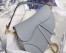 Dior Saddle Bag In Grey Grained Calfskin