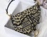 Dior Saddle Bag In Beige Multicolor Mizza Embroidery