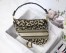 Dior Saddle Bag In Beige Multicolor Mizza Embroidery