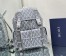 Dior Hit the Road Backpack In Gray CD Diamond Canvas