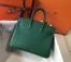 Hermes Birkin 25cm Bag In Malachite Clemence Leather