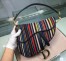 Dior Saddle Canvas Bag Embroidered With Multi-coloured Stripes