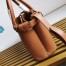 Prada Buckle Small Bag with Double Belt in Brown Leather