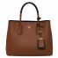 Prada Bicolor Double Medium Palisander Saffiano Bag