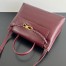 Bottega Veneta Ciao Ciao Medium Bag in Barolo Calfskin