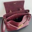 Bottega Veneta Ciao Ciao Medium Bag in Barolo Calfskin