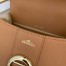 Delvaux Brillant Mini Bag in Brown Rodeo Calf Leather