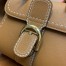 Delvaux Brillant PM Surpique Bag in Brown Rodeo Calf Leather