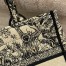 Dior Small Book Tote Bag In Brown Toile de Jouy Embroidery