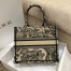 Dior Small Book Tote Bag In Brown Toile de Jouy Embroidery