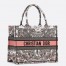 Dior Medium Book Tote Bag in Butterfly Around The World Embroidery