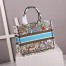Dior Medium Book Tote In Latte D-Constellation Embroidery
