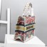 Dior Small Book Tote In Heart Lights Dior Embroidery