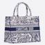 Dior Small Book Tote In Blue Toile De Jouy Canvas