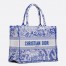 Dior Medium Book Tote Bag In Blue Transparent Toile de Jouy Canvas