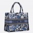 Dior Medium Book Tote In Blue Zodiac Fantastico Embroidery