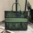 Dior Book Tote Dior Bag In Green Animals Embroidered Canvas 