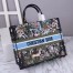 Dior Large Book Tote In Blue D-Constellation Embroidery 