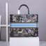 Dior Large Book Tote In Blue D-Constellation Embroidery 