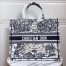 Dior Book Tote Bag In Blue Around The World Embroidered Canvas