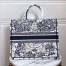 Dior Book Tote Bag In Blue Around The World Embroidered Canvas