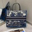 Dior Book Tote Bag In Blue Dior Palms Embroidery