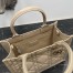 Dior Small Book Tote Bag with Strap in Beige Macrocannage Calfskin 