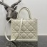 Dior Small Book Tote Bag with Strap in White Macrocannage Calfskin
