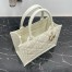 Dior Small Book Tote Bag with Strap in White Macrocannage Calfskin