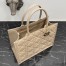 Dior Medium Book Tote Bag with Strap in Beige Macrocannage Calfskin
