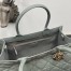 Dior Medium Book Tote Bag with Strap in Grey Macrocannage Calfskin