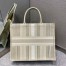 Dior Book Tote Bag In Beige Stripes Embroidery