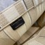 Dior Book Tote Bag In Beige Stripes Embroidery