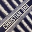 Dior Book Tote Bag In Blue Stripes Embroidery