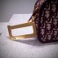 Dior Diorquake Clutch In Bordeaux Dior Oblique Canvas