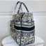 Dior Catherine Tote Bag In Blue Toile de Jouy Embroidery