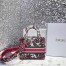 Dior Medium Lady D-Lite Bag In Multicolor Butterfly Embroidery