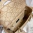 Dior Medium Lady D-Lite Bag In Beige Embroidered Canvas